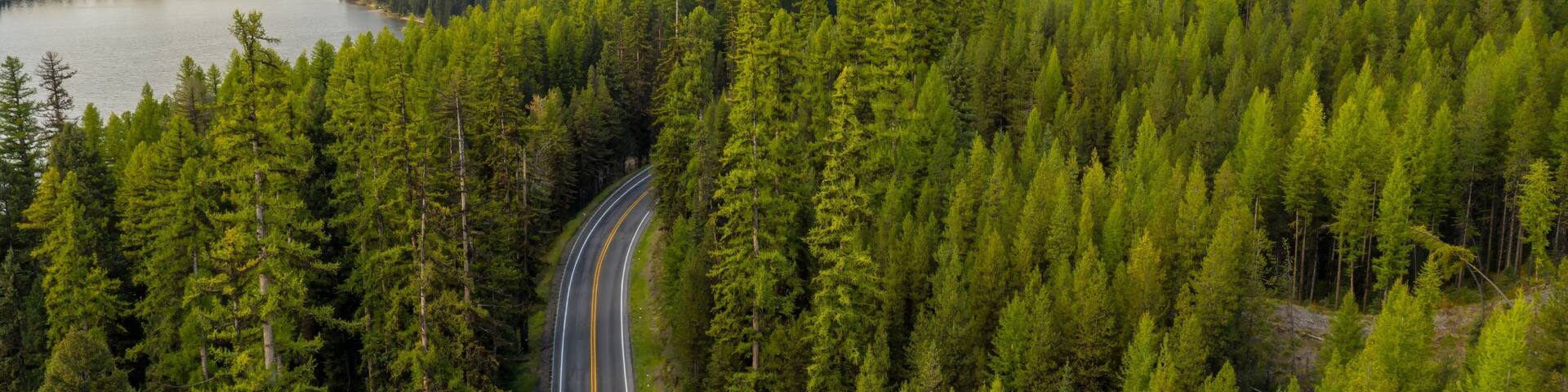 A winding road through a dense forest with a lake and mountains in the background.