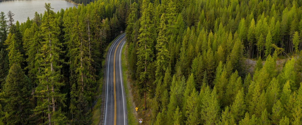 A winding road through a dense forest with a lake and mountains in the background.