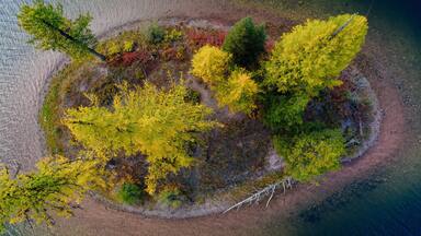 High-angle view of a small island with vibrant autumn foliage, surrounded by a serene lake. Colorful trees and a fallen log create a picturesque scene. Salmon Lake, Seeley Lake, Montana, USA.