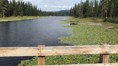 Bridge at Seeley Lake Montana