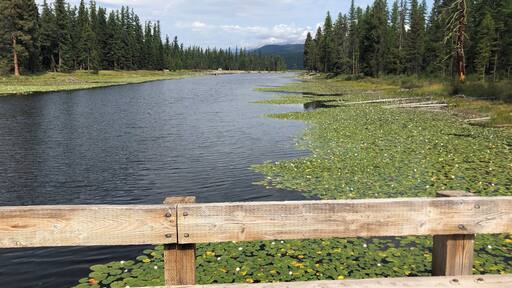 Bridge at Seeley Lake Montana
