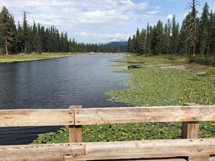 Bridge at Seeley Lake Montana