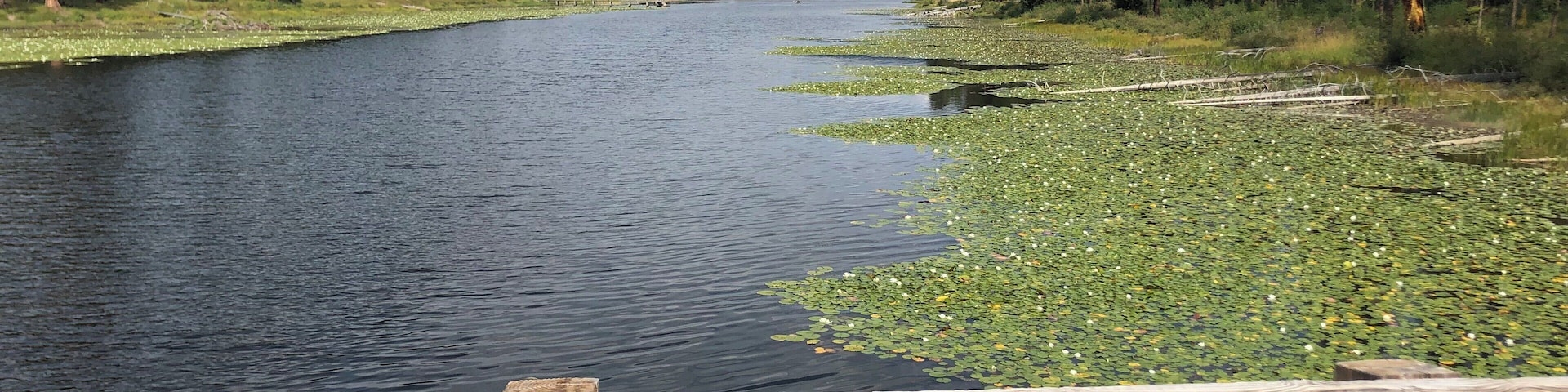 Bridge at Seeley Lake Montana