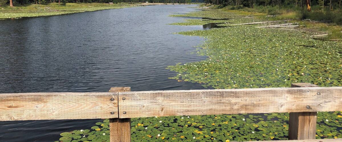 Bridge at Seeley Lake Montana