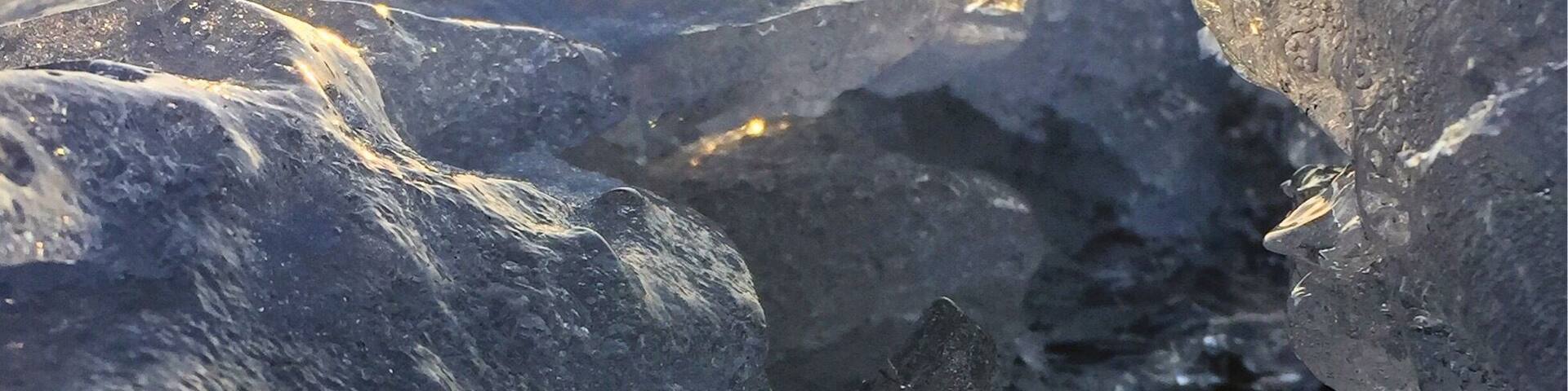 When you catch the sun just right, and get to see nature in action....