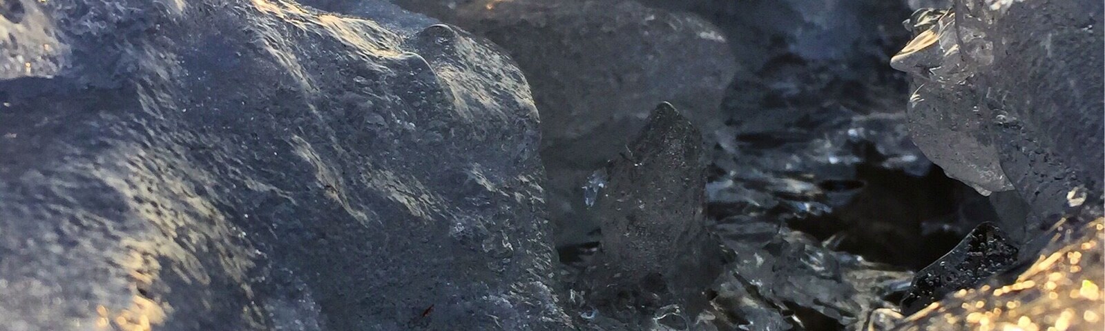 When you catch the sun just right, and get to see nature in action....