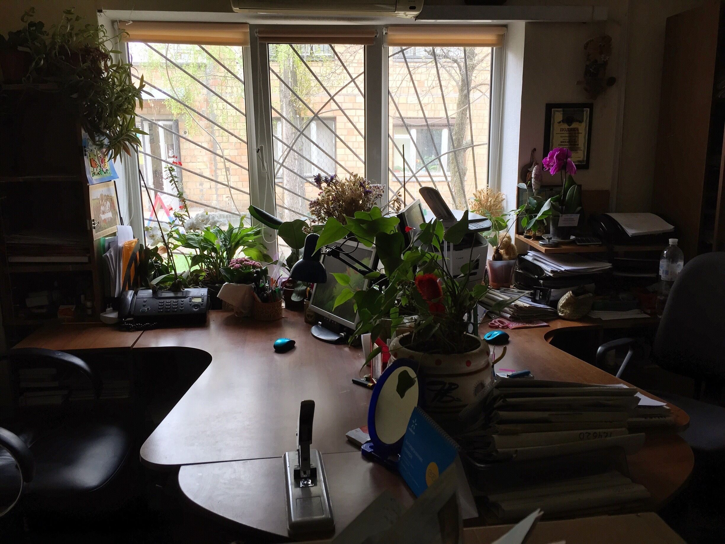 One of the offices in which foreigners find out the fate of their lives. Notice the lack of technology.