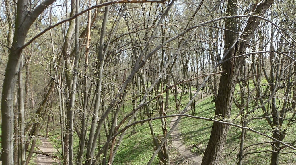 Even in early spring before the trees have come back to life, the park is a great place to hang out and get some fresh air.