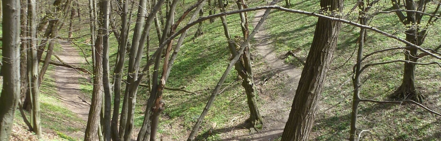 Even in early spring before the trees have come back to life, the park is a great place to hang out and get some fresh air.