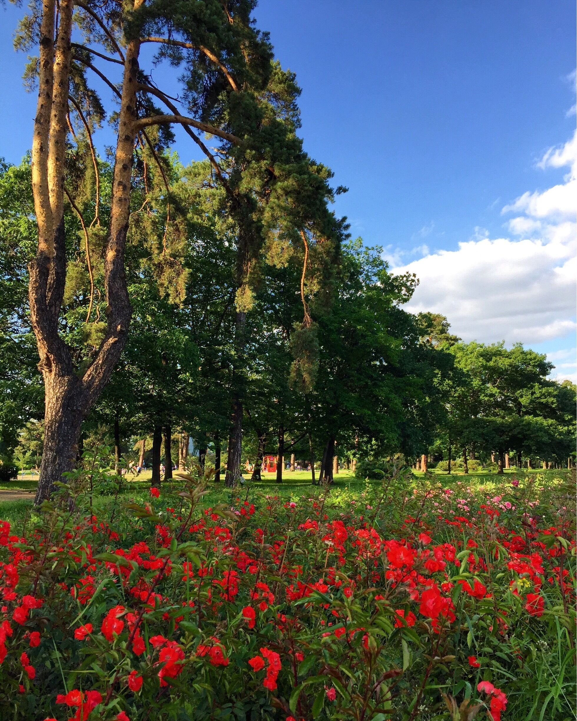 The best time of year.