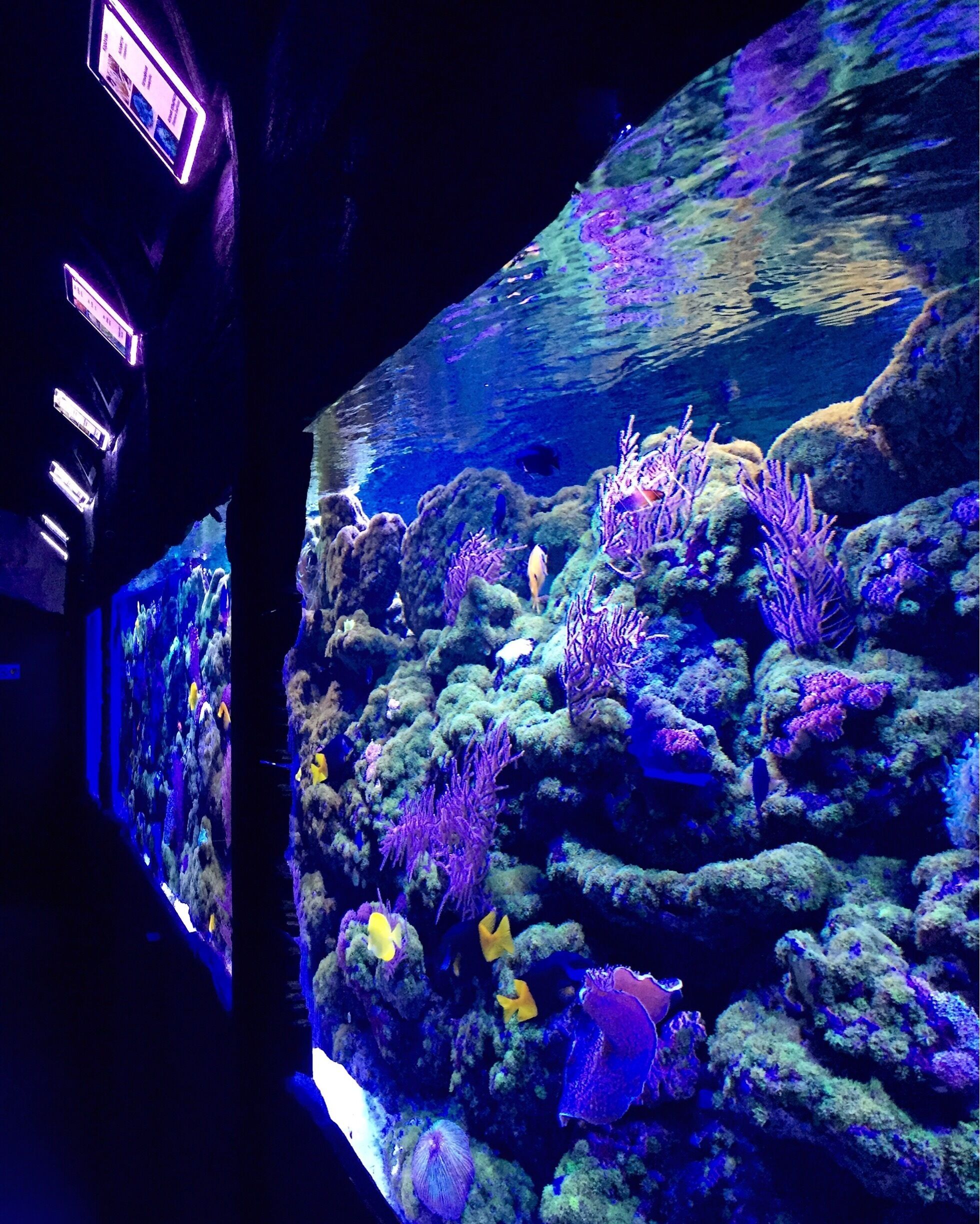 The tanks are not big enough. 