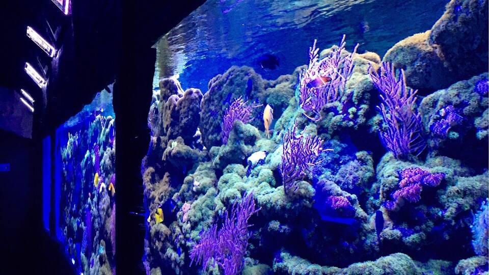 The tanks are not big enough.