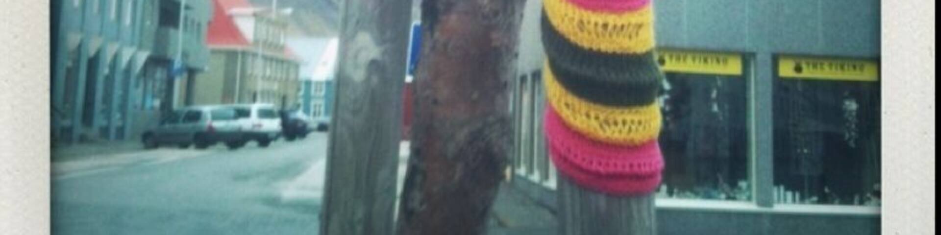 Tree knit in downtown isafjordur.