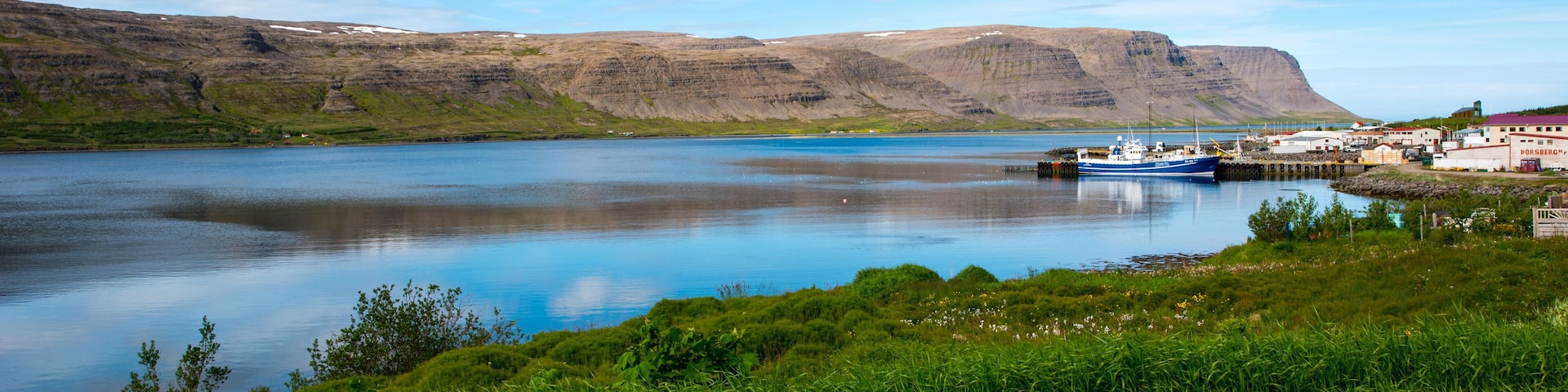 Patreksfjordur, Westfjords, Iceland