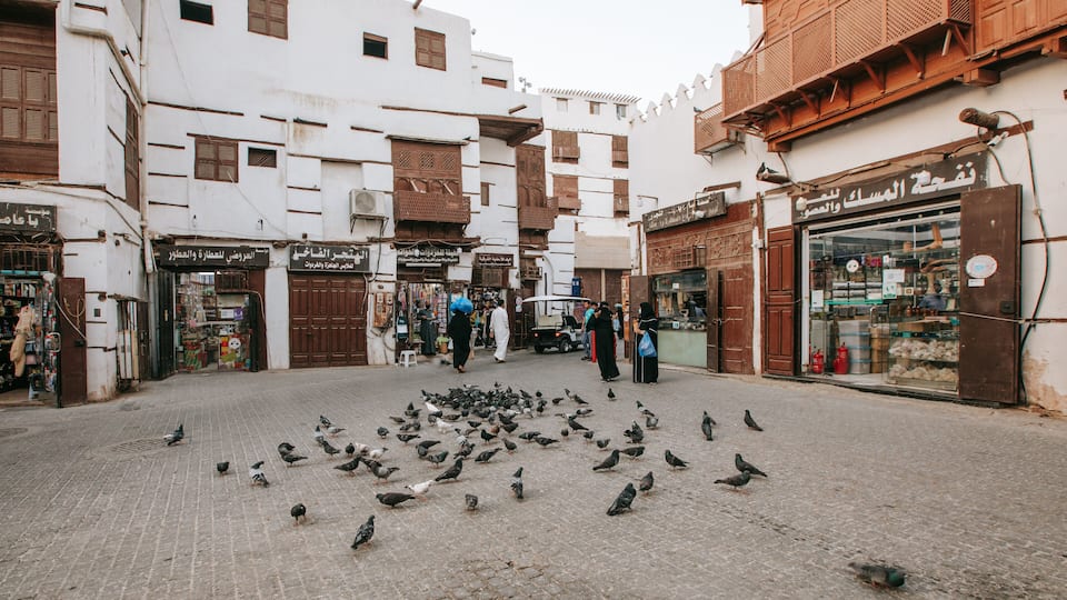 Saudi Arabia which includes street scenes and bird life
