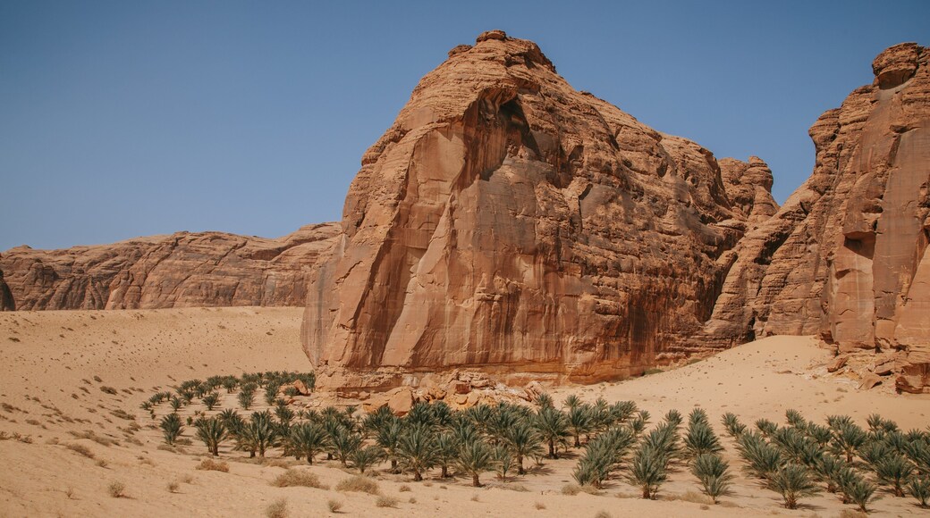 Saudi Arabia which includes a gorge or canyon and desert views