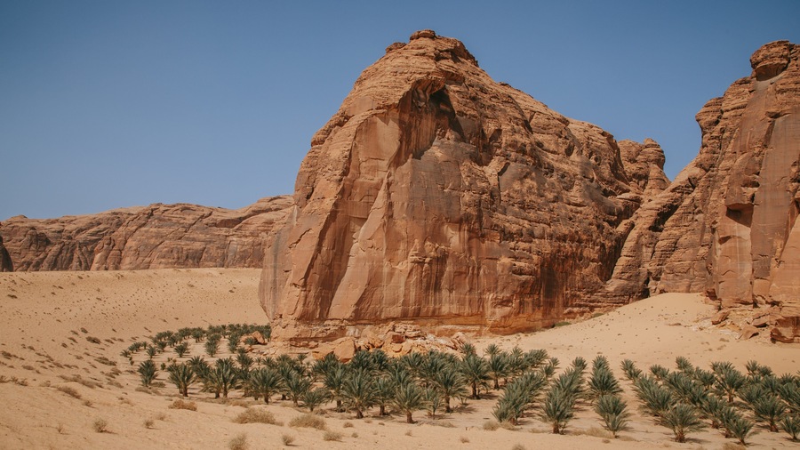Saudi Arabia which includes a gorge or canyon and desert views
