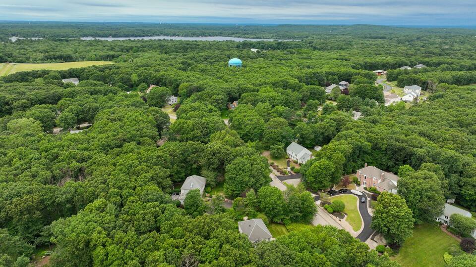 An aerial view of a residential area with dense greenery, houses, and a lake in the background.