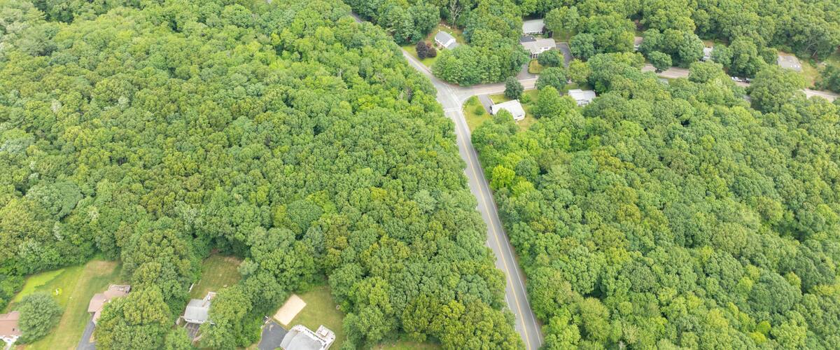 An aerial view of a densely wooded area with scattered residential buildings and a central road.