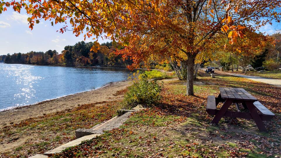 A lakeside park with autumn foliage, a picnic table, and a distant shoreline.
