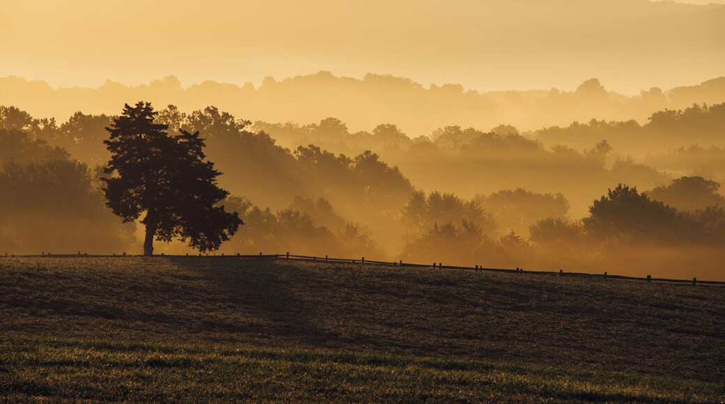 Sunrise from the base of the New York State Monument at Antietam National Battlefield. Watching the morning mist burn off against the backdrop of those layers of Appalachian mountains was incredibly peaceful.
#BVS100K