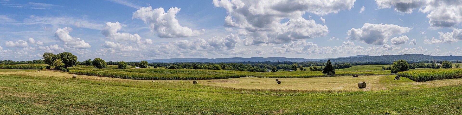 Un extenso campo verde con colinas onduladas y árboles dispersos bajo un cielo azul con nubes esponjosas.