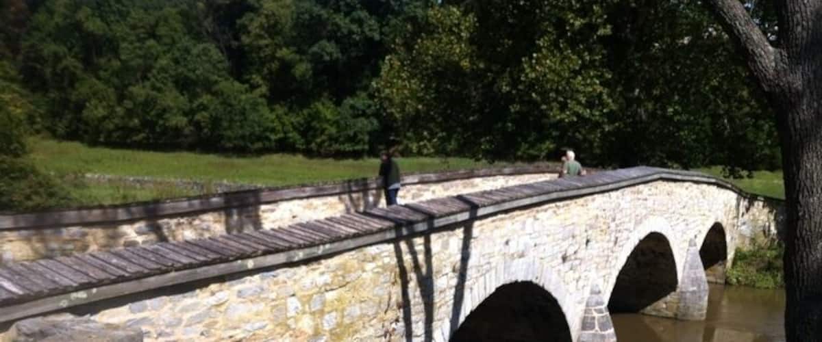 A stone bridge with three arches over a river, surrounded by greenery.