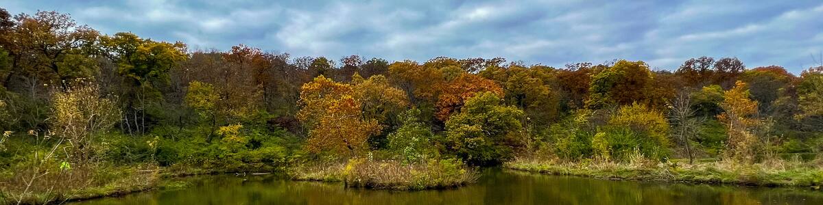 Cove At Shawnee Lake