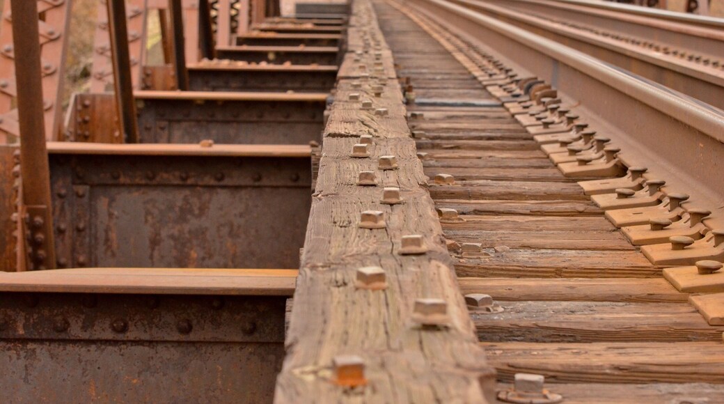 Old train bridge tie bolts. I was amazed how many were loosely fitted!