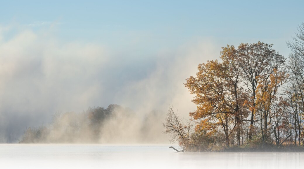 Foggy autumn landscape of Gun Lake at sunrise, Yankee Springs State Park, Michigan, USA