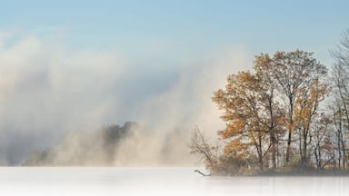 Foggy autumn landscape of Gun Lake at sunrise, Yankee Springs State Park, Michigan, USA