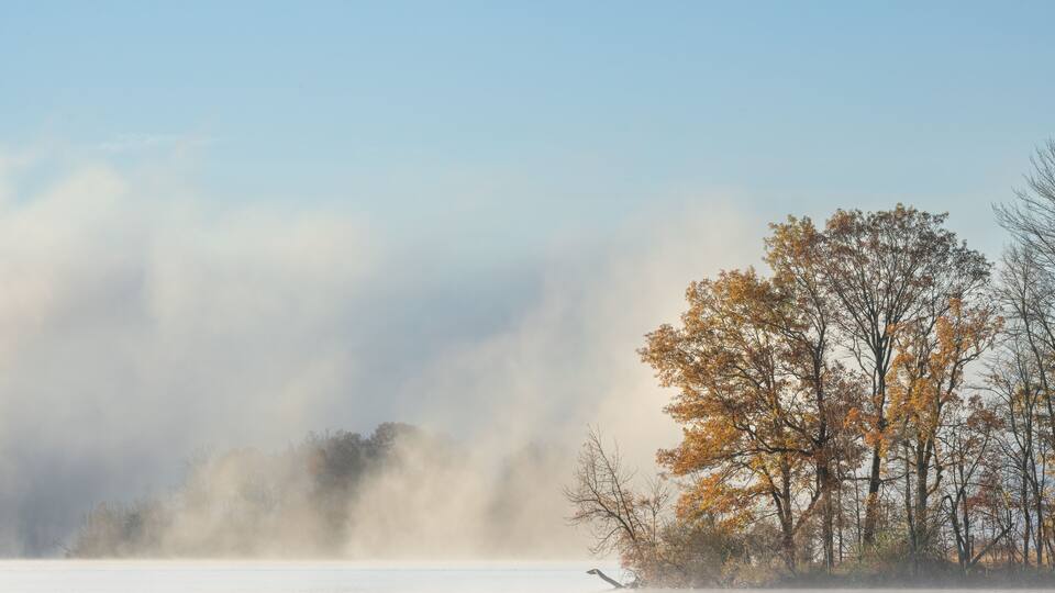 A misty lake with autumn trees and a bird on the shore.