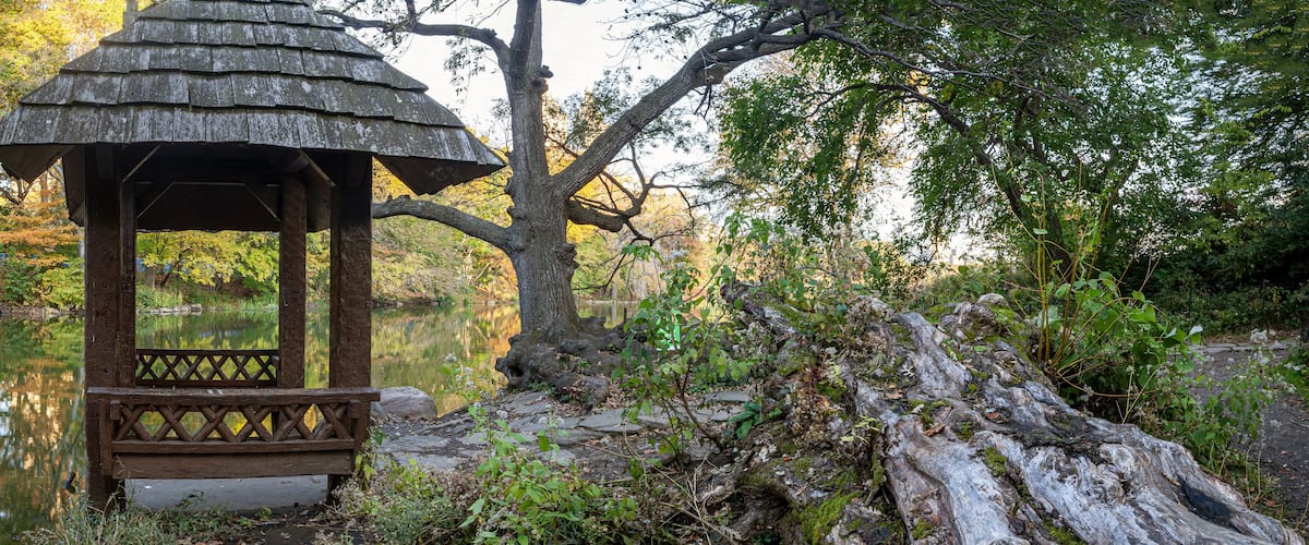A wooden gazebo by a pond with a large tree trunk nearby.