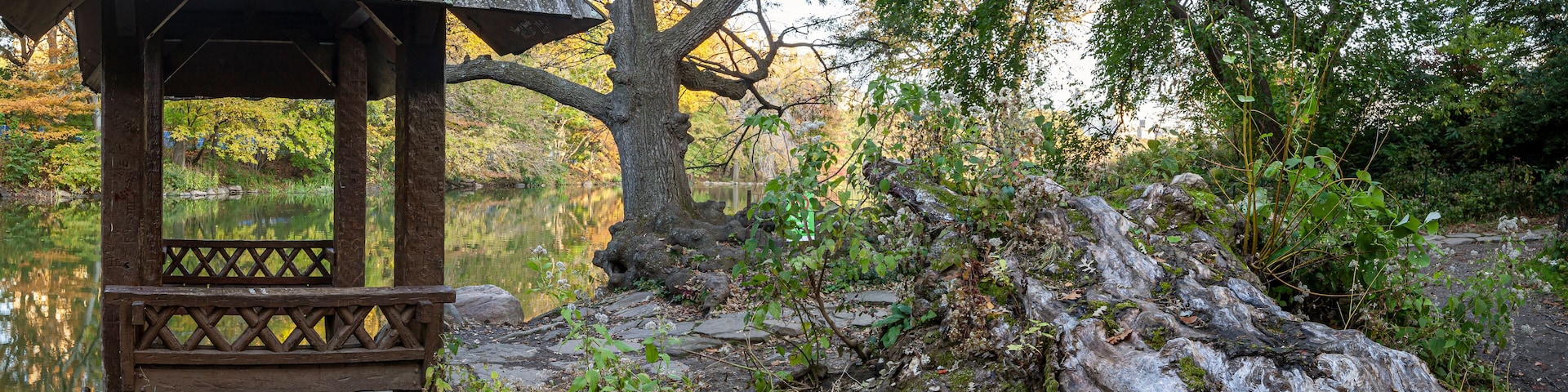 A wooden gazebo by a pond with a large tree trunk nearby.