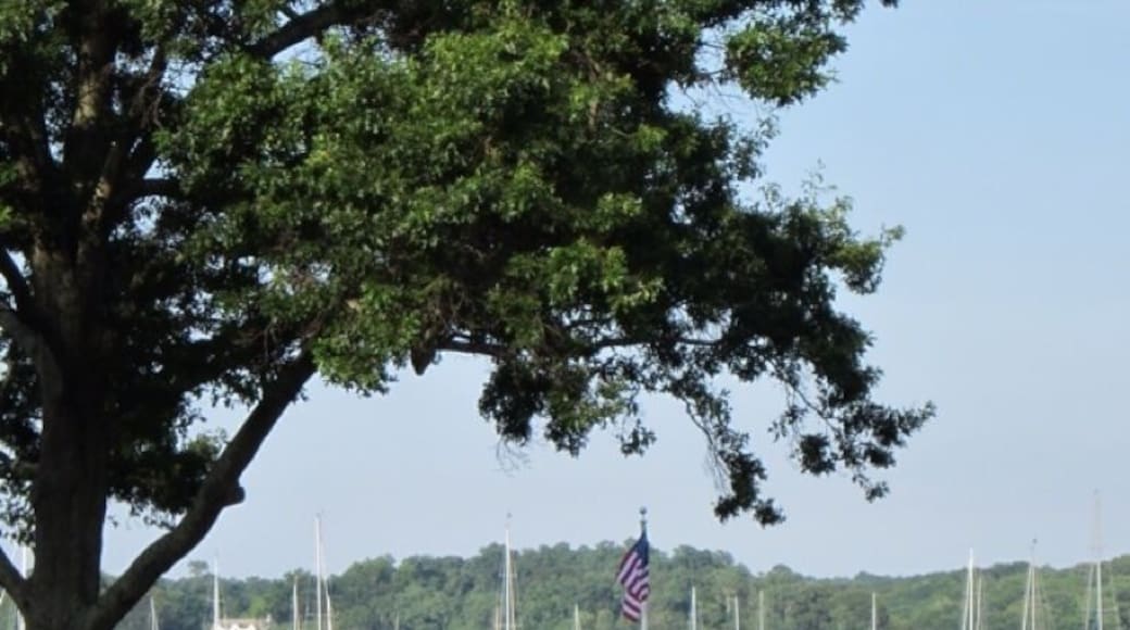 View of Dering Harbor