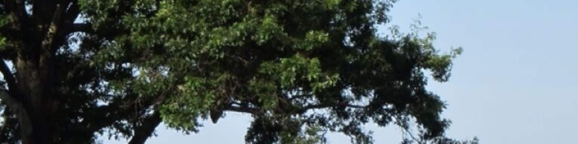 View of Dering Harbor