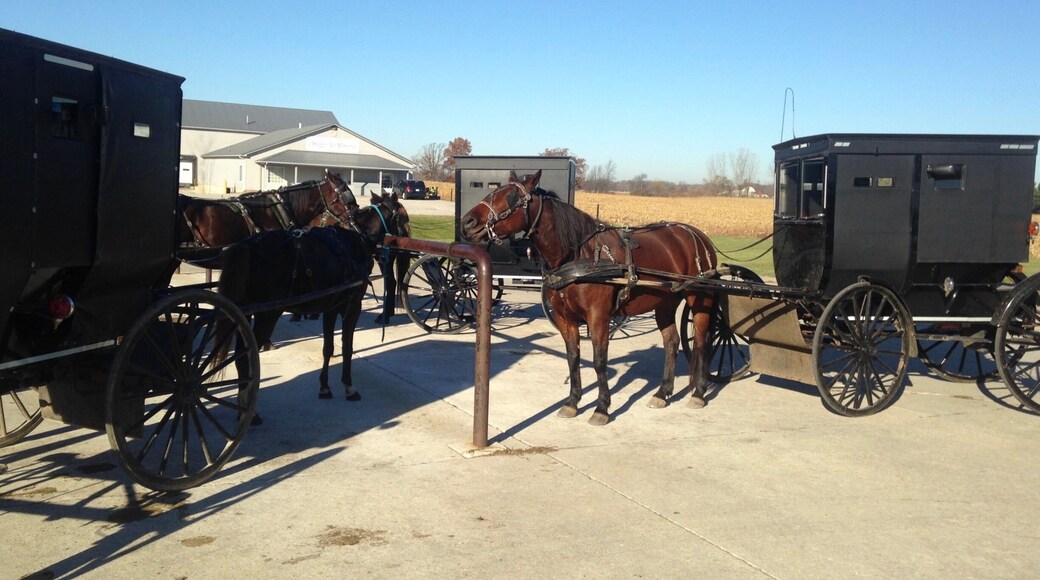 Crowded parking lot. (October 2015)