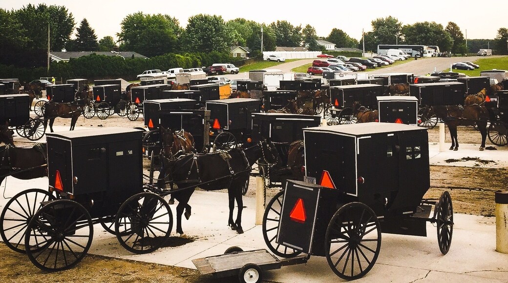 Many locals at the Shipshewana Auction and Flea Market.