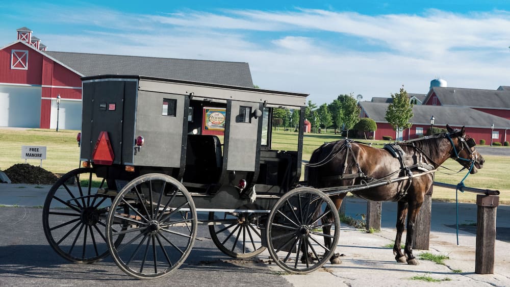 Shipshewana - where life collides. It's fun to visit and see a different style of living. Plus who wouldn't want free manure? #LikeALocal! #Shipshewana #Indiana #CynthiaHerms