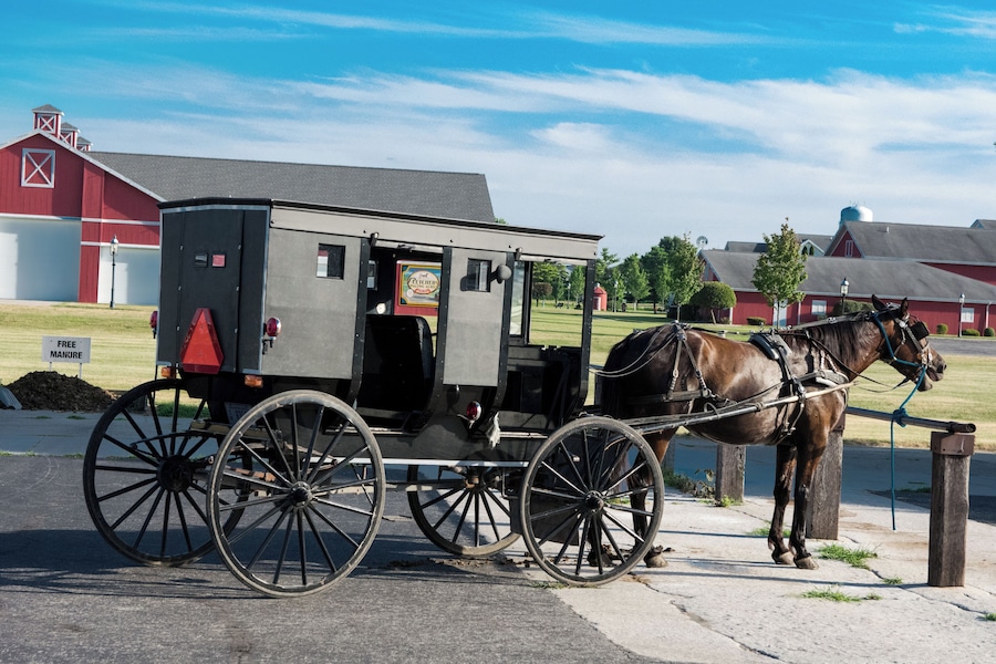 Shipshewana - where life collides. It's fun to visit and see a different style of living. Plus who wouldn't want free manure? #LikeALocal! #Shipshewana #Indiana #CynthiaHerms