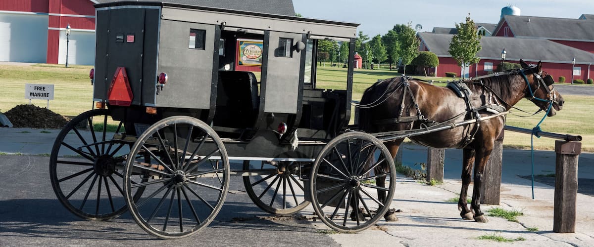 Shipshewana - where life collides. It's fun to visit and see a different style of living. Plus who wouldn't want free manure? #LikeALocal! #Shipshewana #Indiana #CynthiaHerms