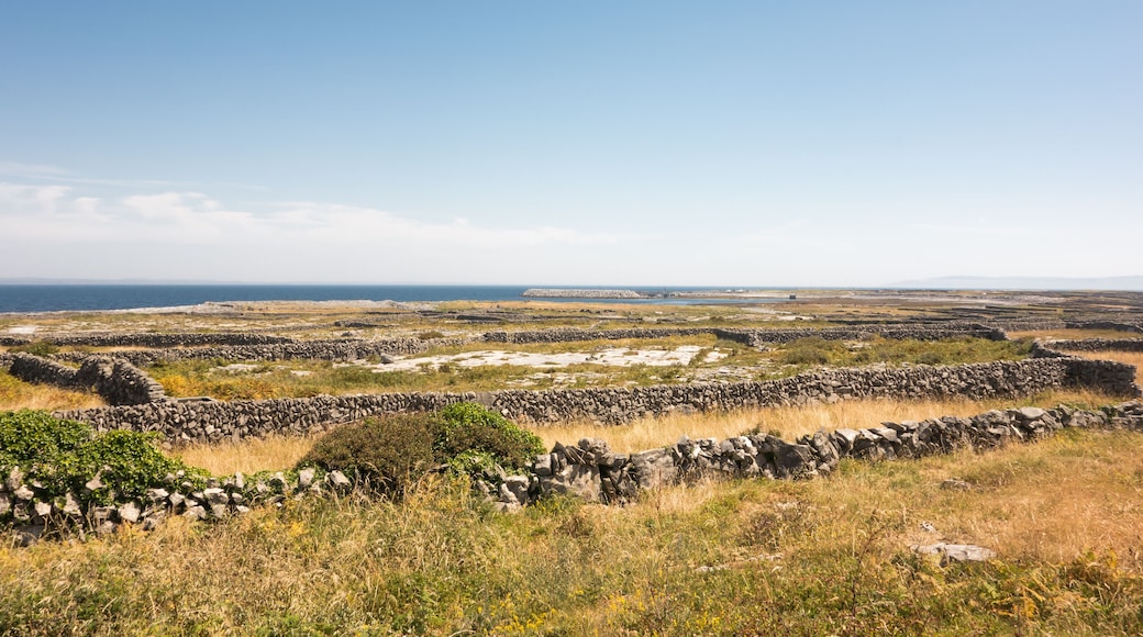 Un paisaje costero con muros de piedra y terreno cubierto de hierba.
