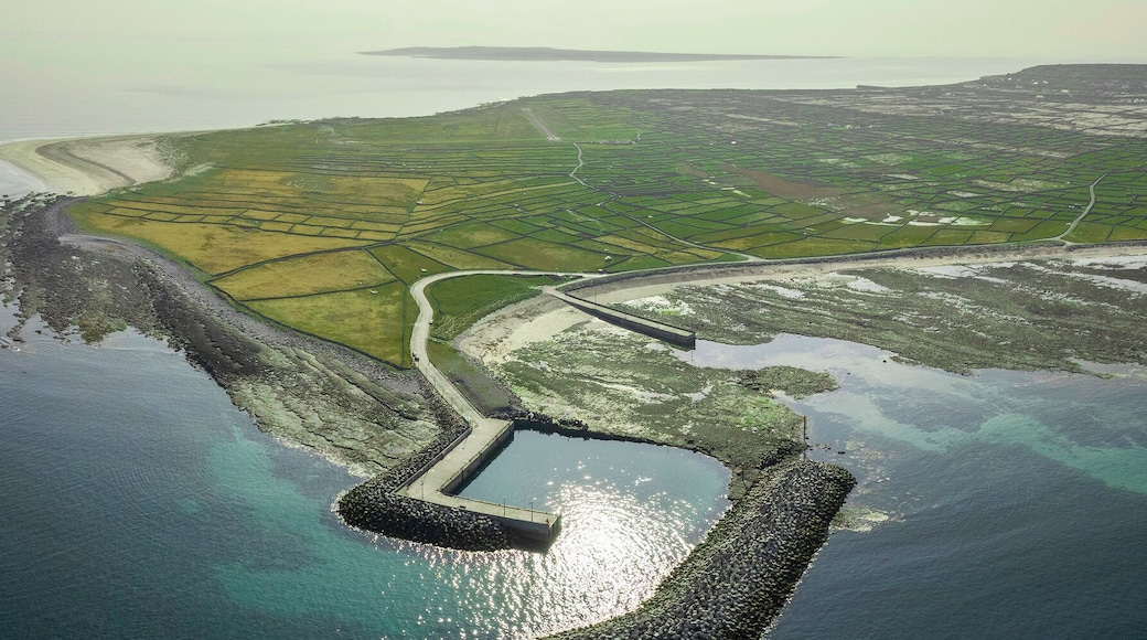 Vista aérea de una isla costera con campos en terrazas, un pequeño puerto deportivo y aguas azules cristalinas.