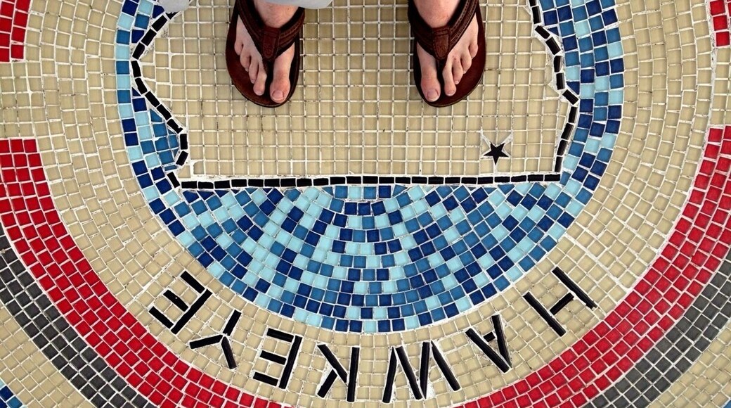 Hawkeye Point, fun little off the highway park that celebrates Iowa's highest elevation point.
#localgem