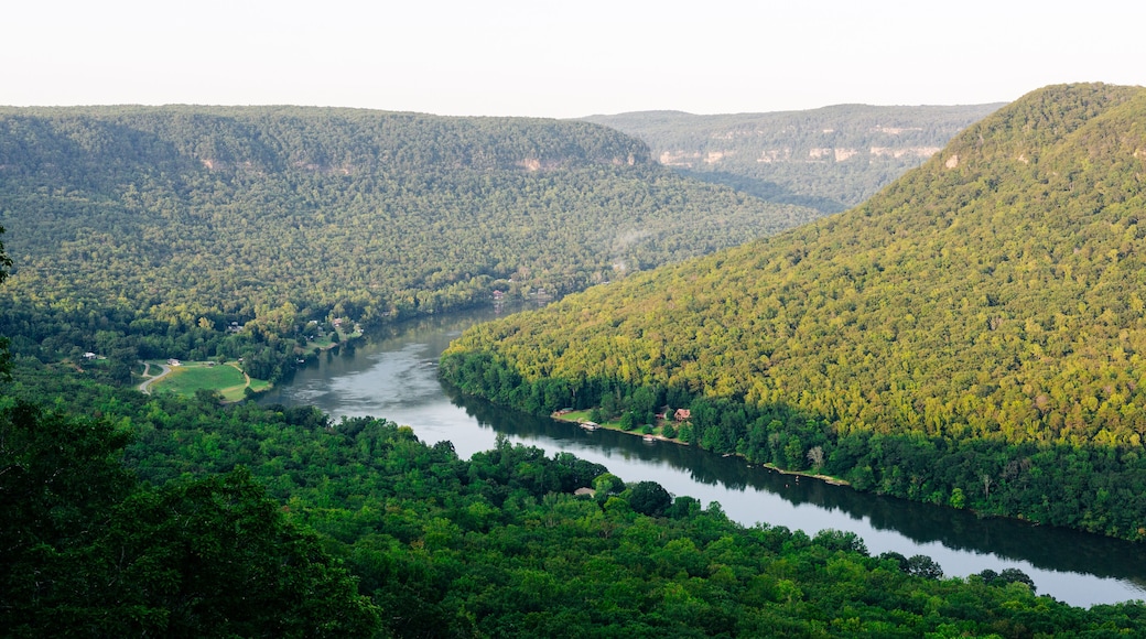 ซิกแนลเมาน์เทน