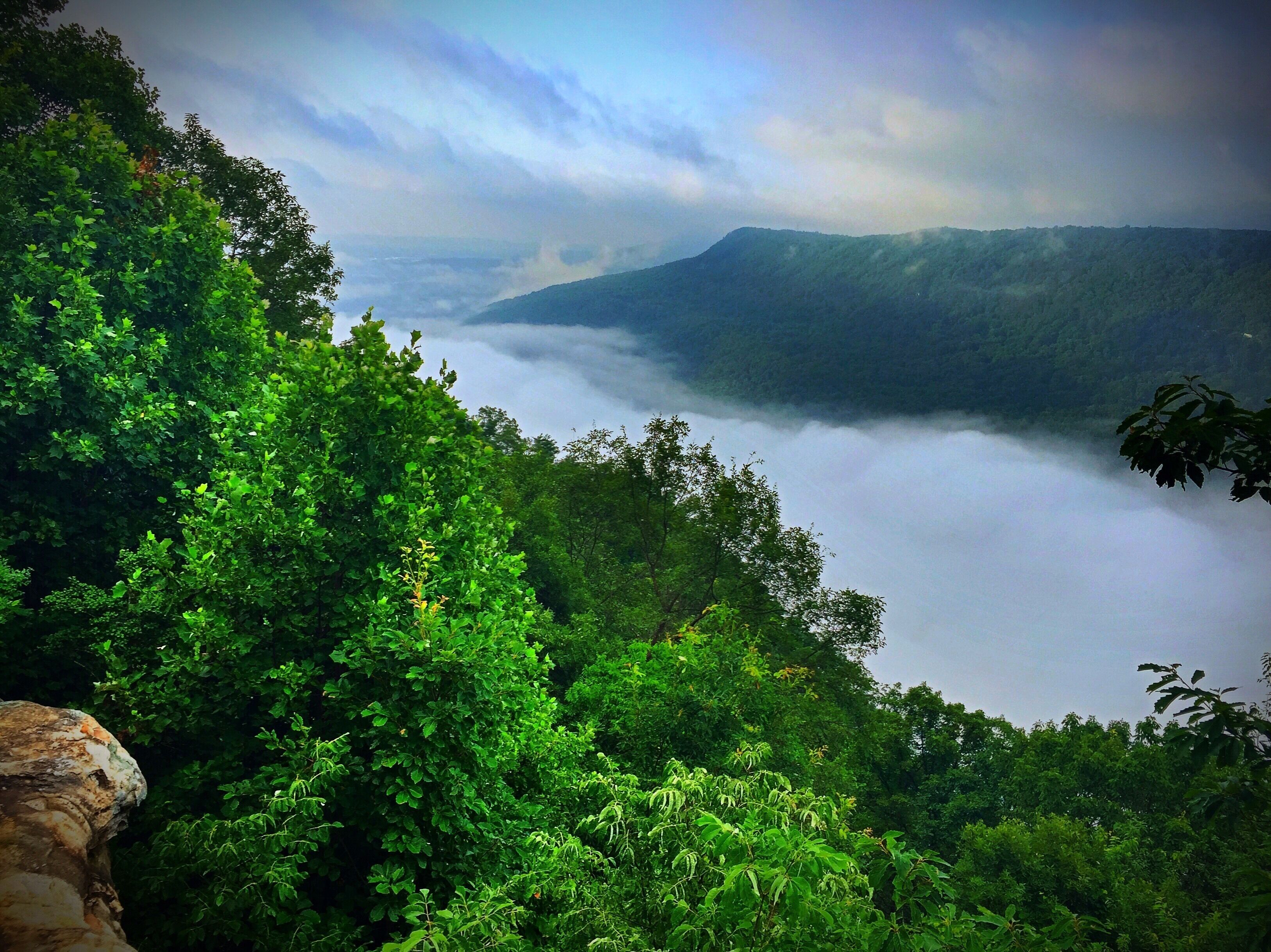 Signal Point on the Cumberland Trail in Signal Mountain, Tennessee.  Early morning fog covering the Tennessee River Gorge below.  #mybackyard
