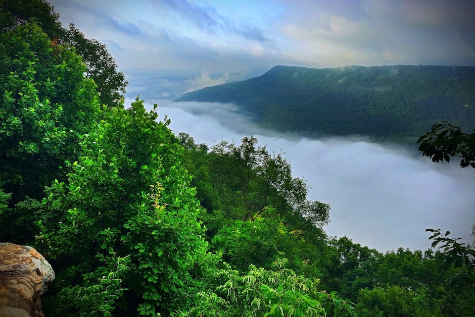 A lush green valley with dense foliage and a mist-covered mountain range in the distance.
