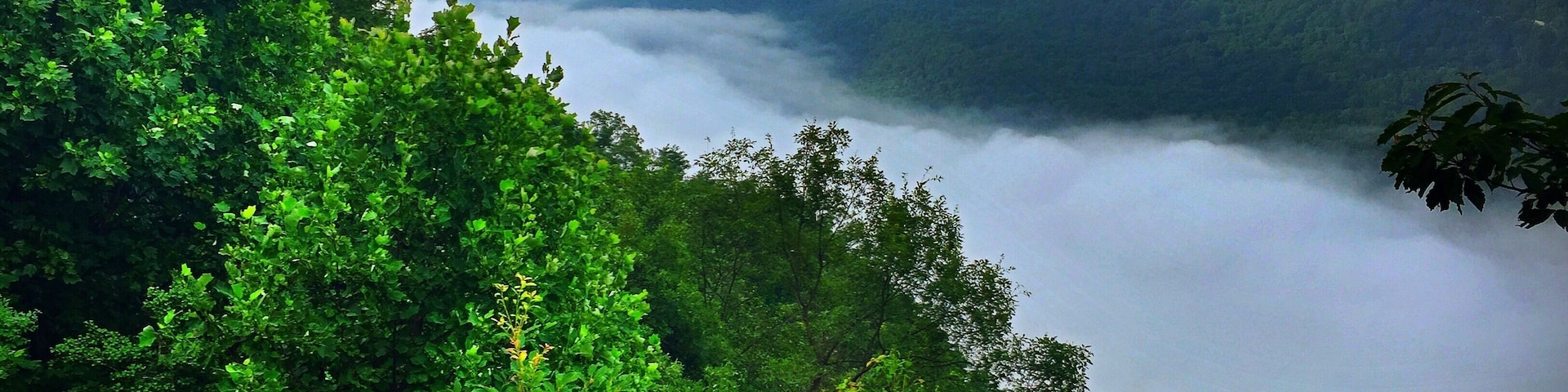 Signal Point on the Cumberland Trail in Signal Mountain, Tennessee.  Early morning fog covering the Tennessee River Gorge below.  #mybackyard