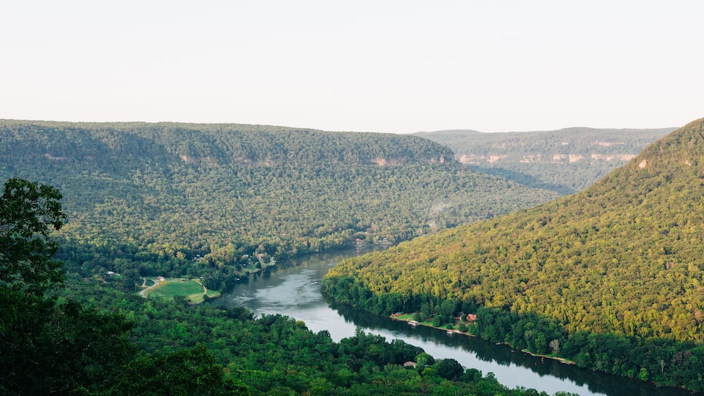 A river winding through a densely forested valley with hills on either side.