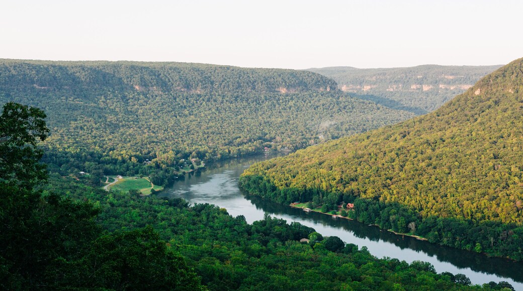 ซิกแนลเมาน์เทน